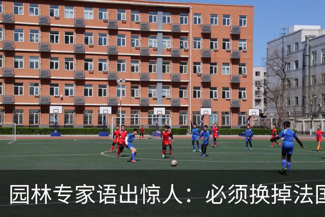 园林专家语出惊人：必须换掉法国梧桐，有很多中国好树被“雪藏”