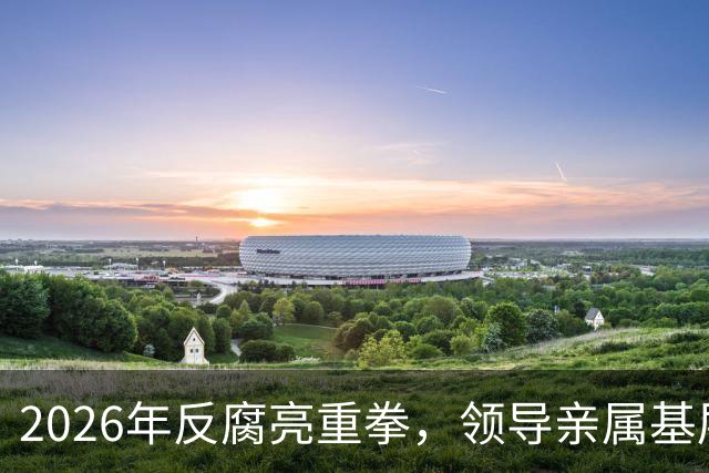 2026年反腐亮重拳，领导亲属基层干部，8大领域有一个查一个！